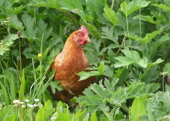 Hof Quadra By Interhome *